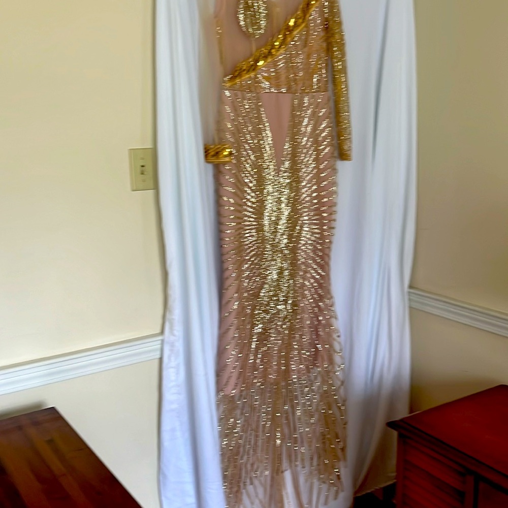 Formal gown-no Brand
